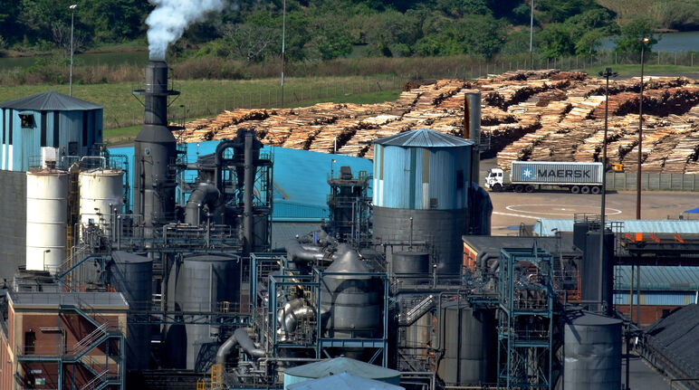 Fábrica de pulpa y papel