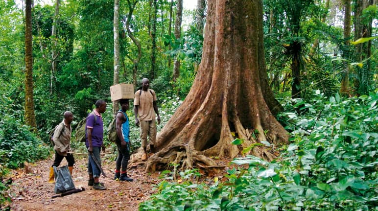 Eco guardias en la selva en Nigeria