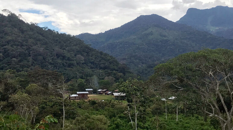 Hay que proteger a las comunidades del territorio Shuar y de todos los territorios indígenas, afro y campesinos Comunidad de Tsumtsuim en el territorio Shuar, al sur del Ecuador