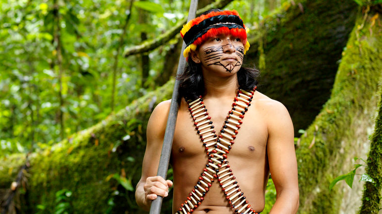 Indígena, Amazonía