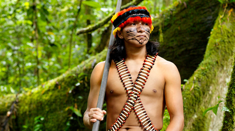 La Coordinadora de Organizaciones Indígenas de la Cuenca Amazónica COICA convoca un día de acción por la Amazonía Indígena, Amazonía