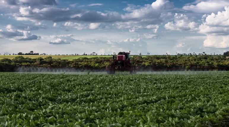 Los pesticidas para los monocultivos de soja no sólo se lanzan con aviones, sino que también se aplican con tractores pulverizadores Pulverización de veneno con tractor en un monocultivo de soja