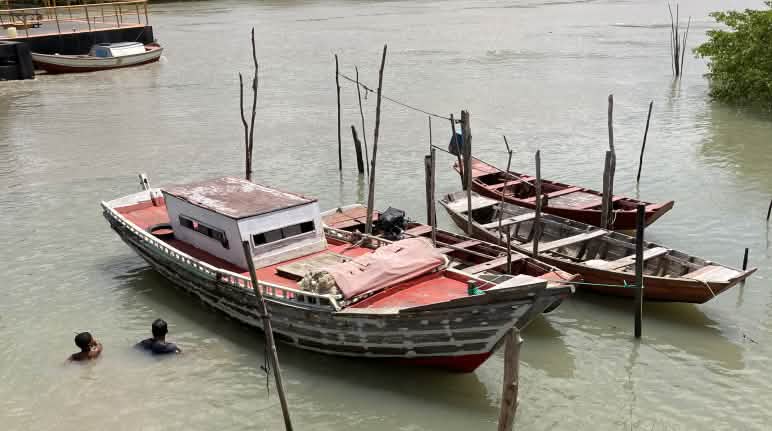Barcos de pesca junto al manglar, cerca de Alcântara Tres barcas de pesca y dos bañistas en las aguas turbias de un manglar