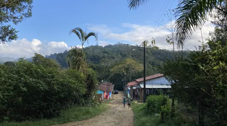 Los habitantes del asentamiento Terra Vista han reforestado una antigua finca de caña de azúcar con técnicas de la agro silvicultura Casas del asentamiento Terra Vista, en Bahía. Al fondo se ve la selva