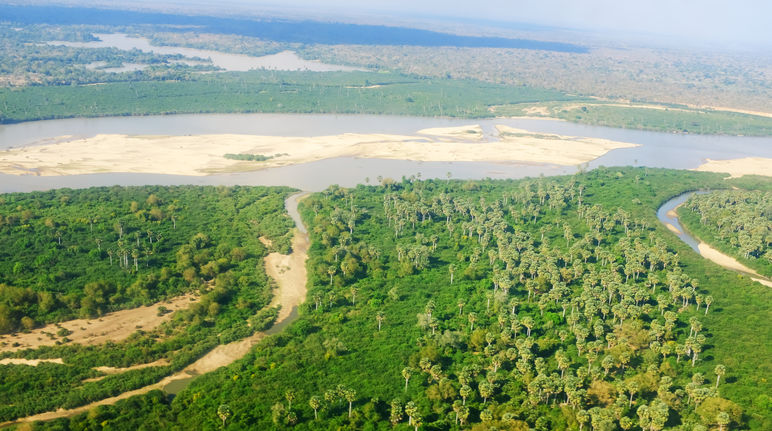 Vista aérea del río Rufiji en la Reserva de Selous en Tanzania