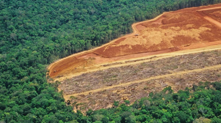 Deforestación en Brasil a causa del avance de la minería de bauxita