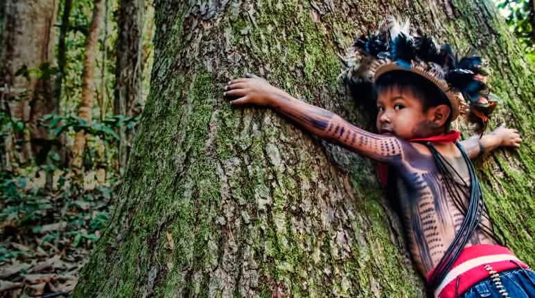 Niño del pueblo Paiter Surui Brasil Niño abrazando un árbol