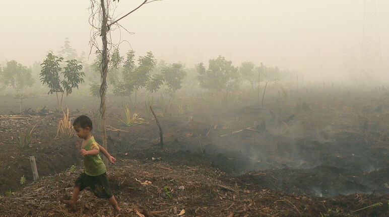 Niño caminando sobre una turbera en llamas en Katingan, Borneo