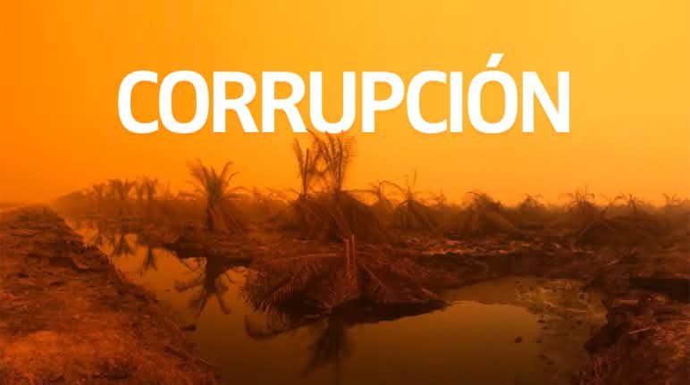 Incendio en Sumatra + Texto CORRUPCIÓN