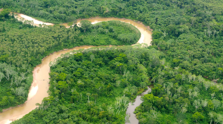 Un río atraviesa un bosque tropical en el Perú
