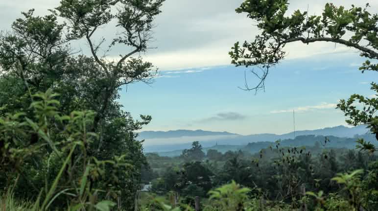 Vista general de la reserva Natural de Morowali