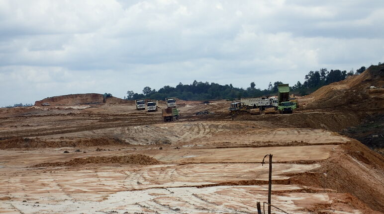 First Resources destruye la selva, cerca de Balikpapan, en la costa de Borneo