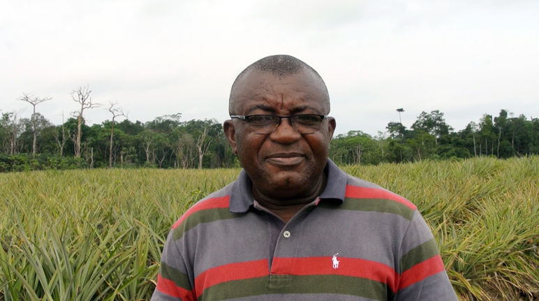 Odey Oyama en una plantación de piña / ananá en el Parque Nacional Cross River en Nigeria