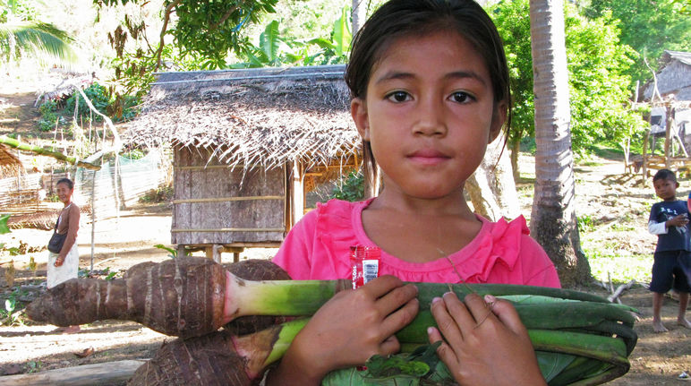 Niña Pala’wan en su comunidad con un taro, verdura local
