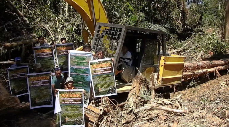 Denuncian deforestación para el cultivo de palma aceitera en el estado de Sarawak, Malasia