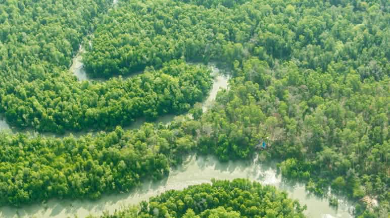 El río Digoel, de 500 km de longitud, desemboca en el mar en Merauke Vista aérea de río serpenteante a través de la selva tropical