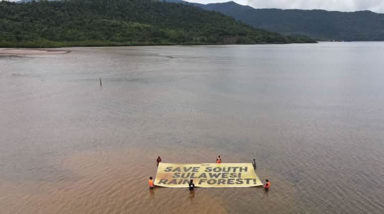 El lago Mahalona severamente contaminado como consecuencia de la extracción de níquel para los coches eléctricos Pancarta con la leyenda (en inglés) “Salvar la selva de Sulawesi del Sur”