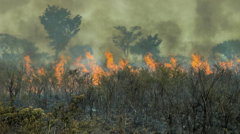 Incendios en la amazonía de Brasil
