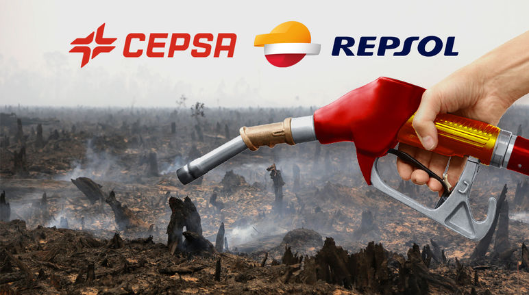 España: el aceite de palma para biocombustible destruye la selva