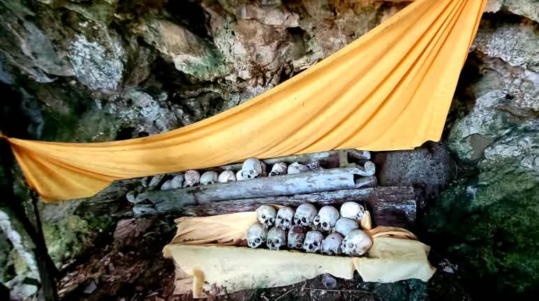 El vínculo con el bosque se crea a través de los antepasados Cráneos de los antepasados. Se mantienen en una cueva