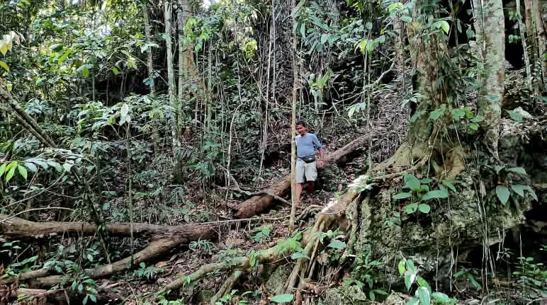 Vigilar, cuidar, respetar: esa es la actitud de la comunidad hacia el bosque Un hombre camina por la selva