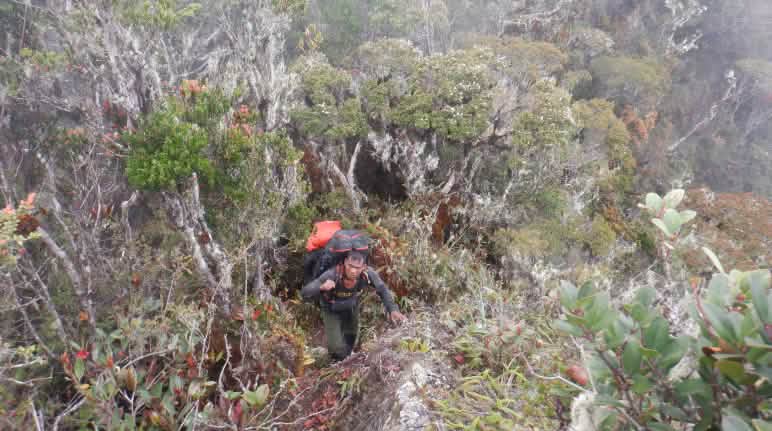 Un guarda forestal con una mochila en terreno escarpado