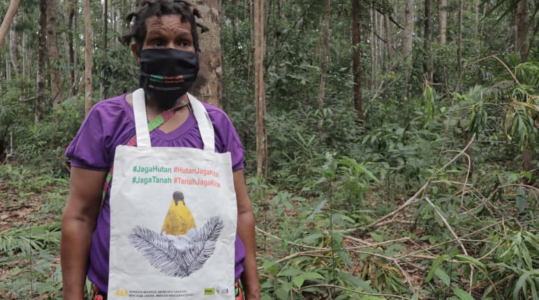Protesta en Papúa en defensa del bosque