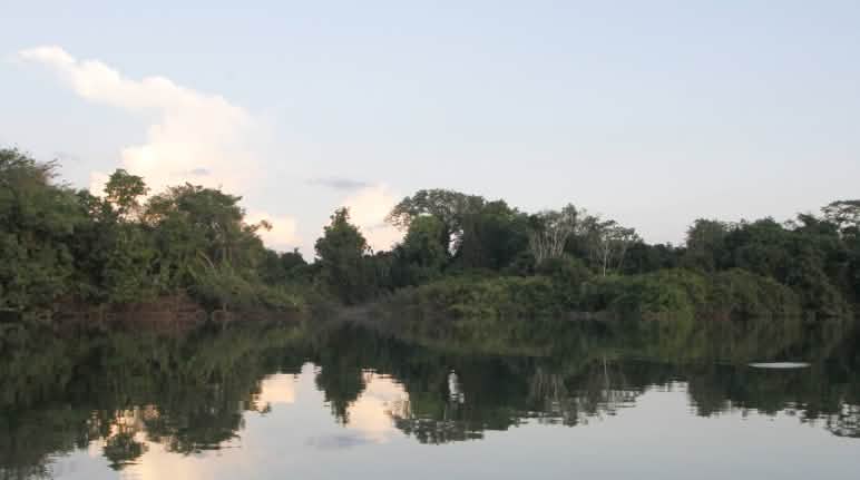 Vista del ecosistema en en Xingu, en la Amazonía de Brasil Río Xingu