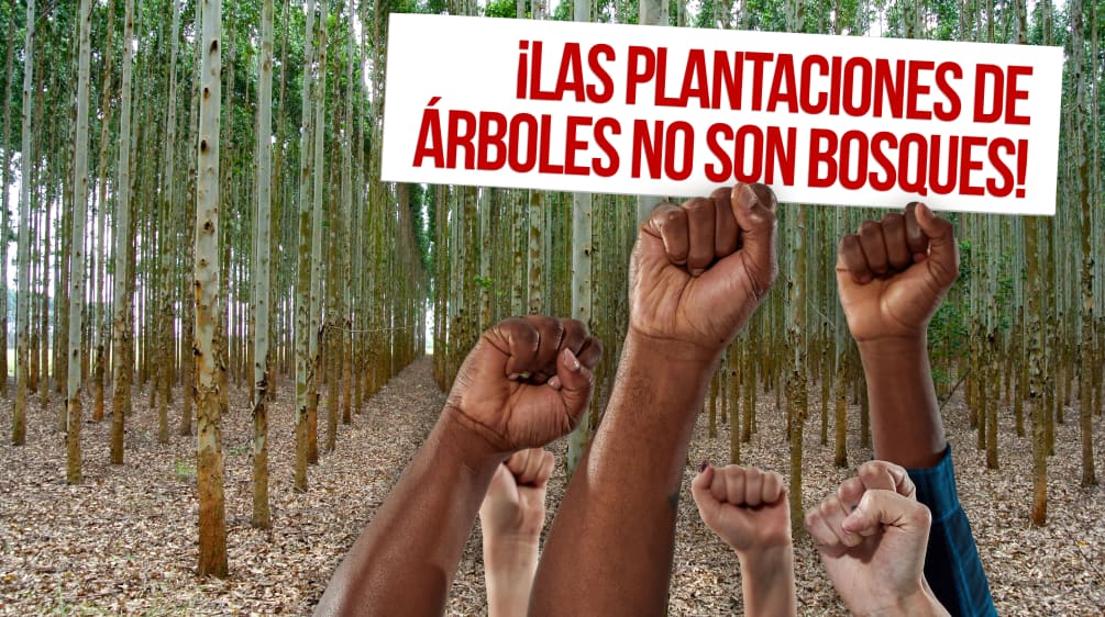 Collage del 21 de Septiembre, Día Internacional contra las Plantaciones de Árboles