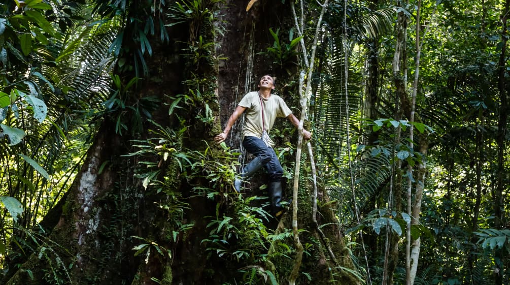 Francisco trepa a un árbol en la selva