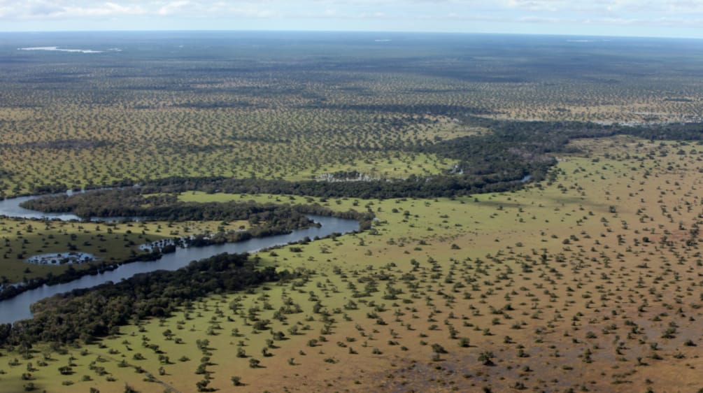 El cerrado de Brasil, vegetación y río, a vista de pájaro.