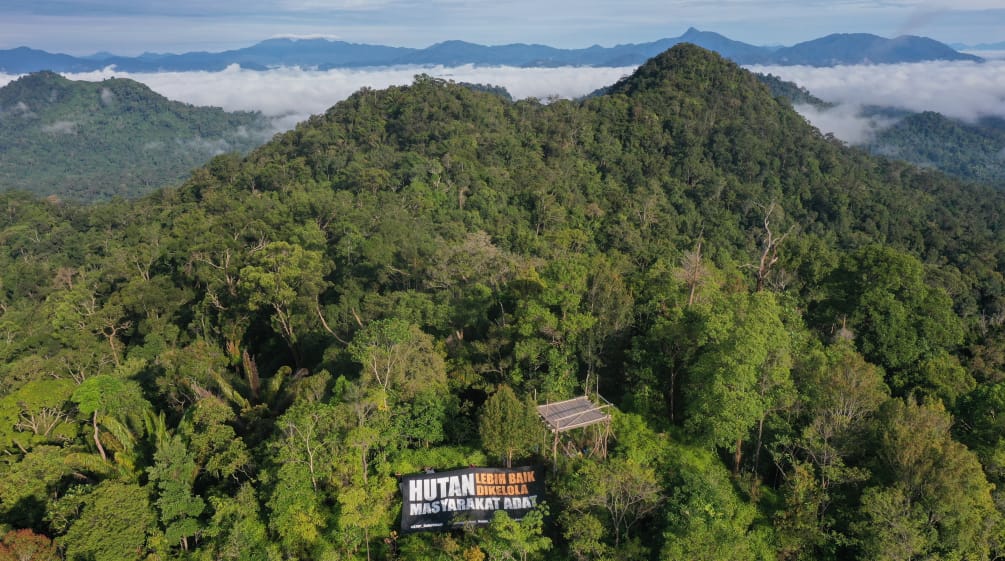 Pancarta en defensa de la selva vista desde lejos en medio del bosque