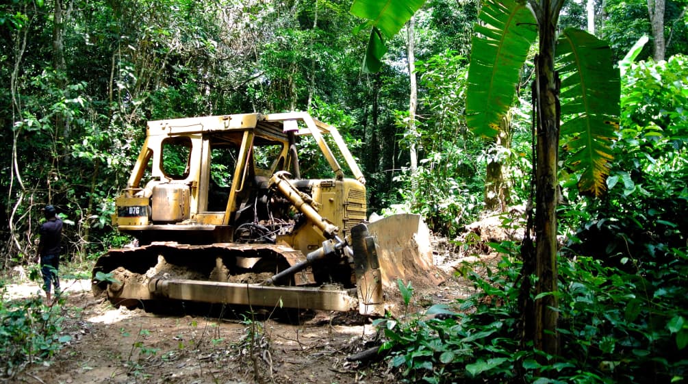 Bulldozer en el Parque Nacional Cross River