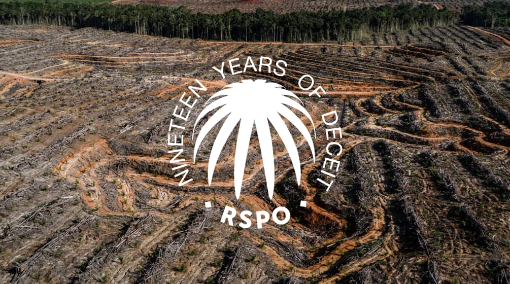 Collage con el sello de la Mesa Redonda de Aceite de Palma Sostenible RSPO sobre una superficie talada de selva tropical