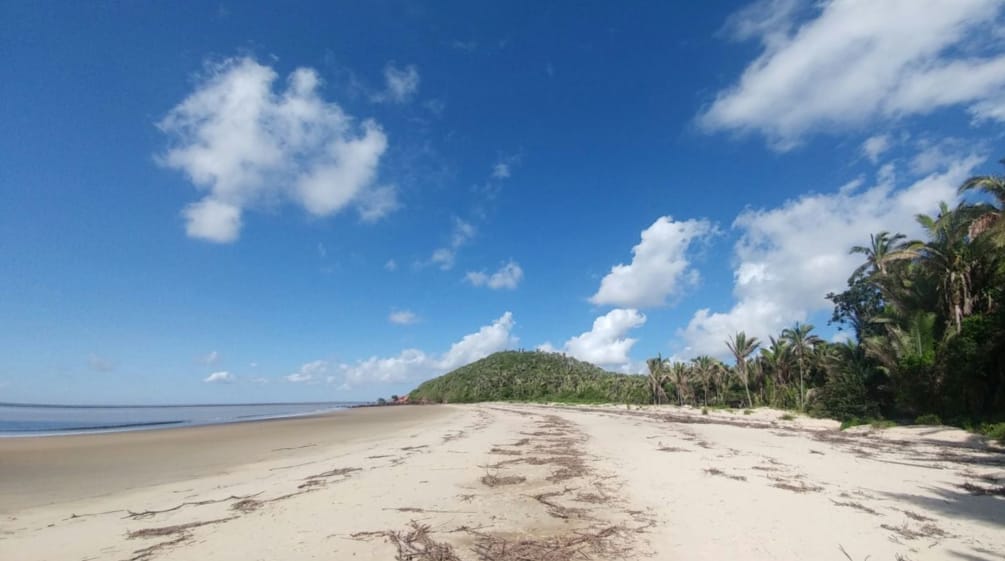 Playa tropical con palmas en la Isla de Cajual