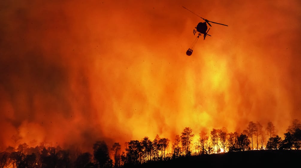 Incendio forestal