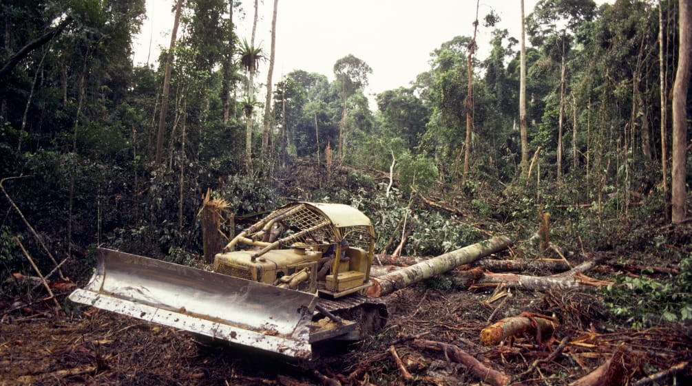 Bulldozer talando la selva