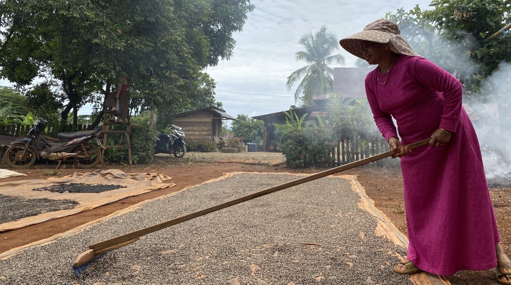 Utilizando una herramienta de palo largo, una mujer con un vestido color fucsia y un sombrero de ala ancha extiende una gran cantidad de granos de pimienta sobre una gran esterilla para que se sequen