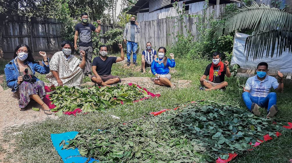 Indígenas preparan plantas para uso medicinal