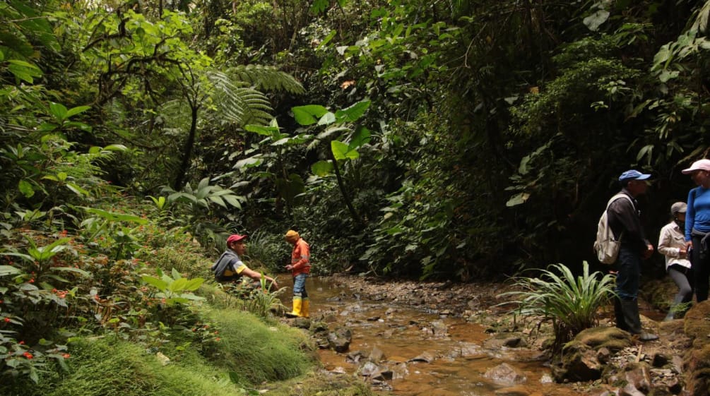 Varias personas se encuentran junto a un arroyo en la zona de Intag, Imbabura, Ecuador, amenazada de minería
