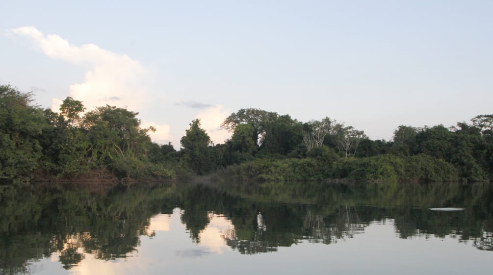 Río Xingu