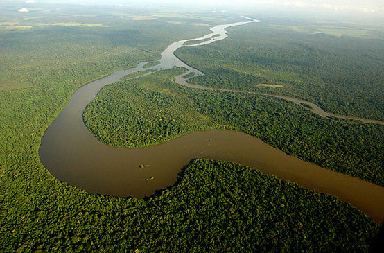 Vista aérea de la selva y río