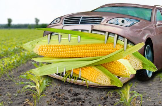 Un auto come maíz