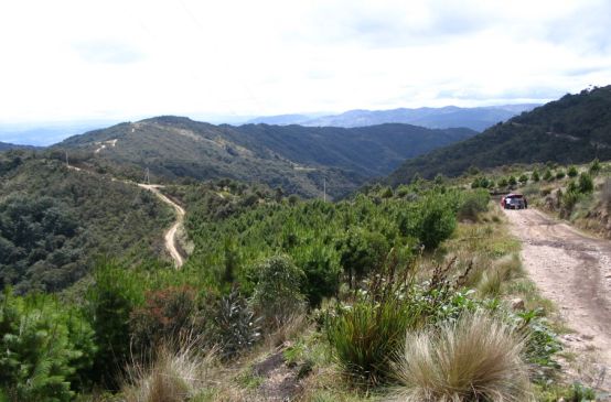 Montañas amenazadas por minería