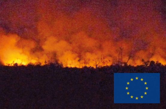 Arde la selva