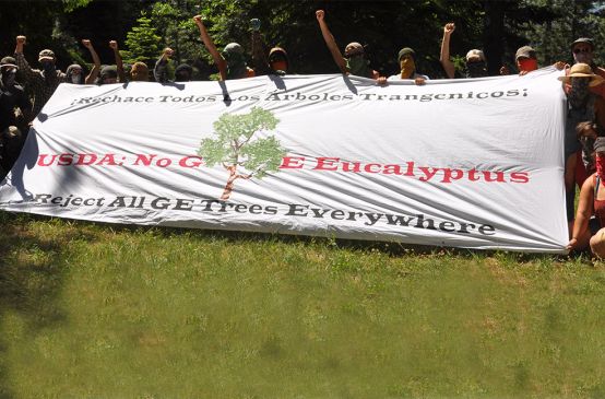 StopGETrees Campaign