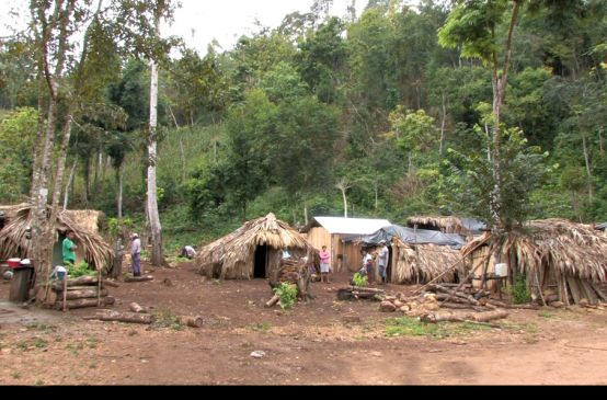 Una comunidad de refugiados en la selva