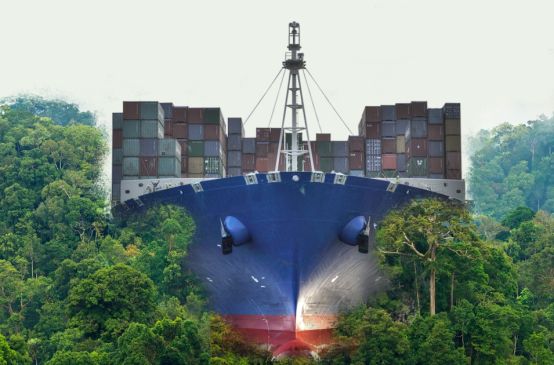 Nicaragua barco a través de la selva