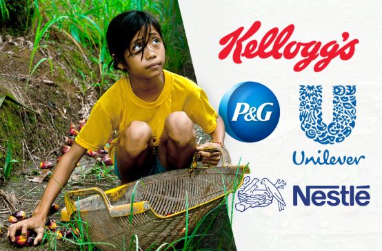 Kellogg’s, Nestlé, Unilever: trabajo infantil en la producción de aceite de palma