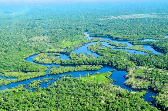 Vista aérea de la selva amazónica